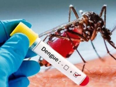 Kasus DBD di Seluma Tercatat Meningkat, Lima Orang Meninggal Dunia