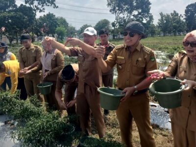 Sekda Sukarni Panen Cabe Merah, Gertam Jadi Siasat Mengatasi Inflasi