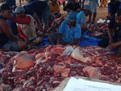 Tak Tanggung-tanggung, Desa Manjunto Jaya Kurban 15 Ekor Sapi