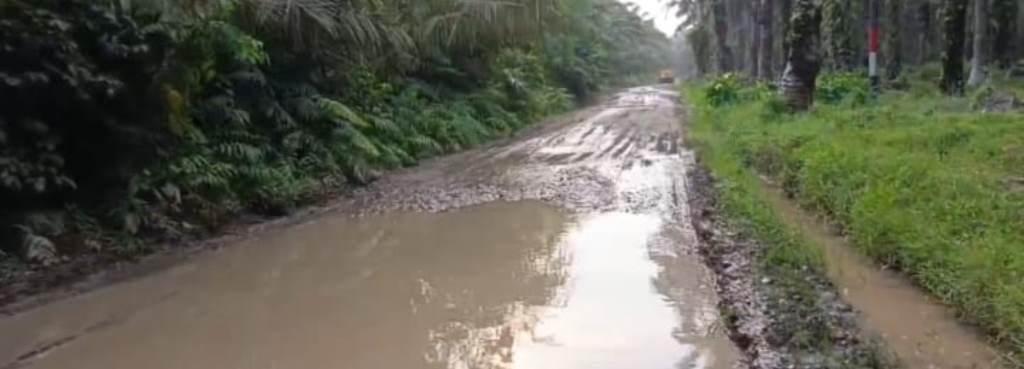 jalan seluma