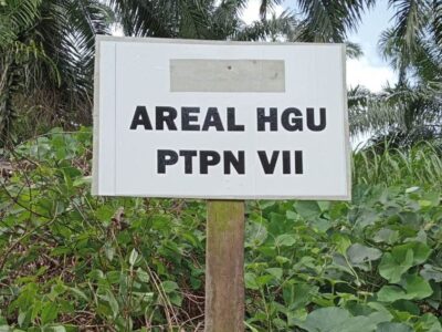 Diduga Patok Perkebunan Warga, PTPN VII Bisa Picu Konflik