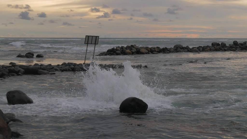 Peneliti: Suhu Air di Kawasan PLTU Teluk Sepang Naik 6 Derajat, Ancaman Serius Biota Laut