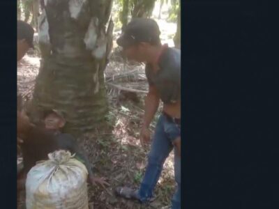 Viral Pria Tua Pengumpul Brondol Sawit Diintimidasi, Kejadian di Seluma