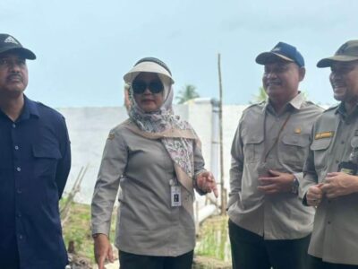 Kementerian Pertanian Minta Daerah Usulkan Cetak Sawah Baru