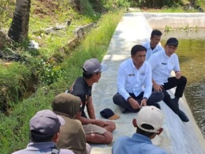 Kadis DKP Monitoring Ketersediaan Ikan di UPTD BPPBPPMHP Bengkulu Utara