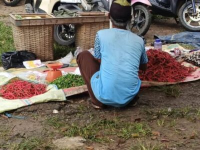 Harga Bahan Pokok di Seluma Melonjak Drastis, Cabai Keriting Tembus Rp45 Ribu