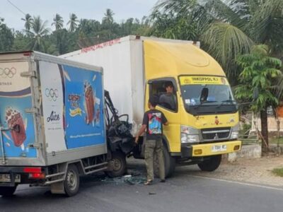 Laka Lantas di Seluma, Pick Up Adu Kambing dengan Mobil Box