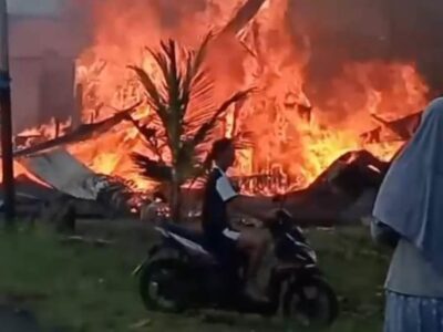 Kebakaran di Desa Sari Mulyo, Warga: Jarak Damkar Jadi Kendala