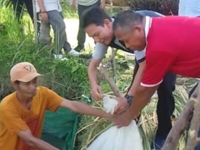 Thumbnail Dukung Ketahanan Pangan, Aliansi Media Bengkulu Online Serahkan 5.000 Bibit Ikan Nila